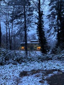una casa en medio de un bosque cubierto de nieve en Вила Ренесанс Костенец, en Kostenets