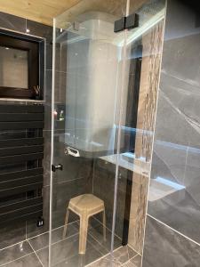 La salle de bains est pourvue d'une douche en verre avec un tabouret. dans l'établissement Apartman Vendy, à Hermagor