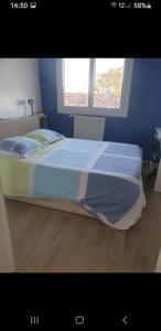 1 cama en un dormitorio azul con ventana en Chambre chez Cathy 2, en Carbon-Blanc