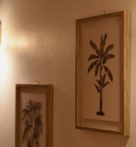 zwei gerahmte Bilder einer Palme an der Wand in der Unterkunft Bohême Carib & Massage - Un Goût De Paradis ! in Deshaies