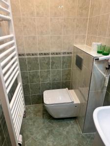 Baño pequeño con aseo y lavamanos en Pension Robin, en Jáchymov