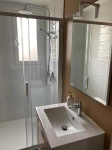 La salle de bains est pourvue d'un lavabo et d'une douche. dans l'établissement Le 122 - Parking, à Rodez