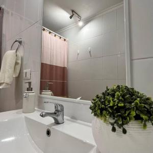 a bathroom with a sink with a potted plant on it at Nuevo y cómodo Departamento en Pucón in Pucón