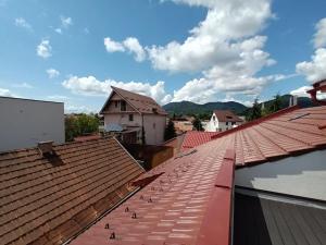 eine Gruppe von Vögeln auf den Dächern von Gebäuden in der Unterkunft Old Town Studio 2 apartment nr 2 in Baia Mare