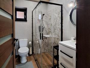 a bathroom with a shower and a toilet and a sink at U Hanky pod Hrbkom in Repište