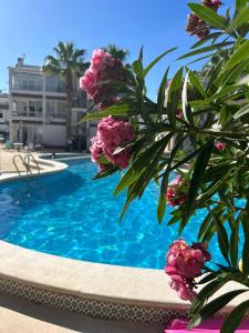 Bazén v ubytování Punta Prima Palm Beach Apartment nebo v jeho okolí