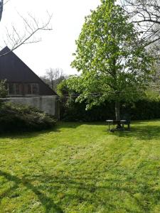una mesa de picnic y un árbol en un patio en Gîte 3 étoiles - Spacieux et confortable ancienne grange rénovée - Cantal Emotions Valette - Auvergne, en Valette