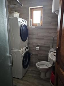 a bathroom with a washing machine and a toilet at Eko kuća Zlatiborsko srce in Zlatibor