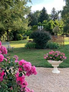 eine Vase inmitten eines Gartens mit Blumen in der Unterkunft Gîte Marguerite - Au coeur de la campagne in La Petite-Boissière