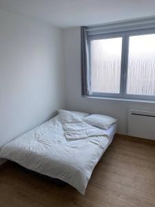 Cappelle-la-GrandeにあるStudio cosyの窓付きの部屋のベッド1台分です。