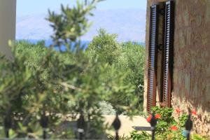 a window of a building with a view of plants at Xenios Zeus Apartments in Kissamos
