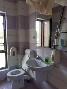 Koupelna v ubytování Apartamente9