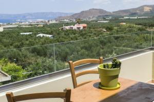 a potted plant sitting on a table on a balcony at Xenios Zeus Apartments in Kissamos