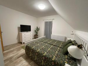 1 dormitorio con 1 cama y vestidor con TV en Taverna Apartman, en Monor