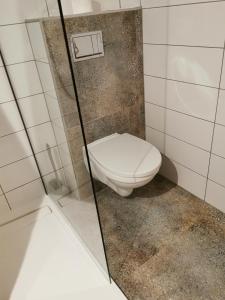 La salle de bains est pourvue de toilettes et d'une porte de douche en verre. dans l'établissement Olimpijka Lidia Wrzesinska, à Więcbork
