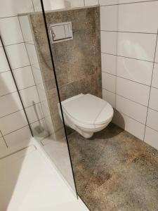 a bathroom with a toilet and a glass shower door at Olimpijka Lidia Wrzesinska in Więcbork +13 photos