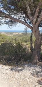 Naturlandskabet i nærheden af lejligheden + 3 billeder