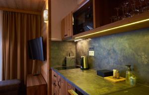 Kuchyňa alebo kuchynka v ubytovaní Chalety Otupné - Apartmán Lorien + 24 fotografií