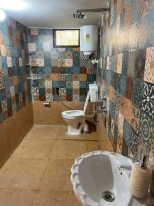 a bathroom with a toilet and a sink at MANDAP COTTAGE & CAFE in Nagar