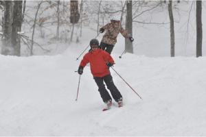 Family Pocono Gem by the lake with private sauna, hot tub, and huge game room v zimě + 53 fotografií