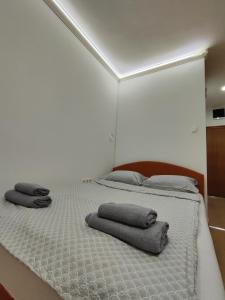 1 dormitorio con 2 camas con almohadas en Apartman Malta, en Banja Luka