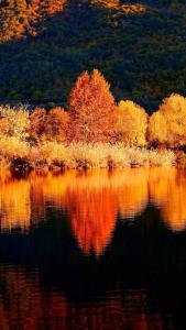 een waterlichaam met bomen die reflecteren in het water bij ISEO SMILE house in Iseo