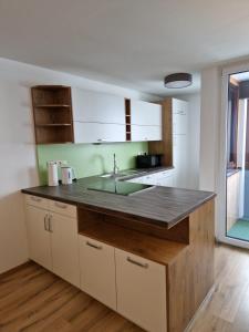 Fotografie z fotogalerie ubytování Apartment Pilz v Gosau