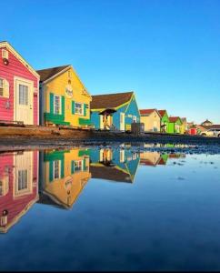 eine Reihe bunter Häuser neben einem Wasserkörper in der Unterkunft Entire house 3 min Drive to beach in Eastern Passage