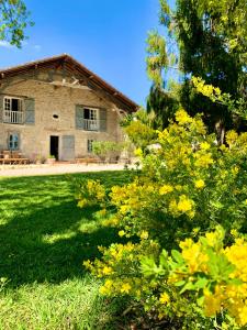 una casa de piedra con flores amarillas delante de ella en Le Poutic piscine chauffee en Créon-dʼArmagnac