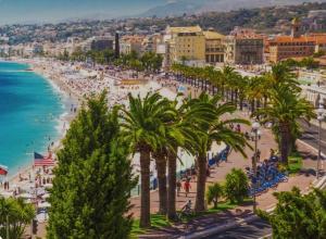 uma vista para uma praia com palmeiras e para o oceano em Chambre privée confortable à louer chez l habitant proche plage et centre ville de Nice em Nice