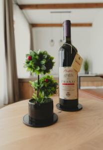 eine Flasche Wein und eine Topfpflanze auf dem Tisch in der Unterkunft Zemunice Knezevic in Banja Luka