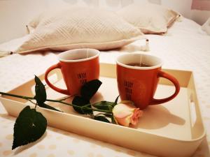 dos tazas de café en una bandeja en una cama en Hiška sončni hrib. en Novo Mesto