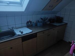 eine Küchentheke mit einem Waschbecken und einem Fenster in der Unterkunft Kleine gemütliche Wohnung in Zwickau