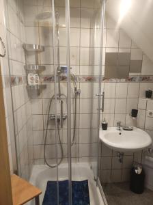 La salle de bains est pourvue d'une douche et d'un lavabo. dans l'établissement Kleine gemütliche Wohnung, à Zwickau