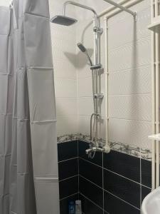 y baño con ducha y cortina de ducha. en Apartman Nadja, en Niš