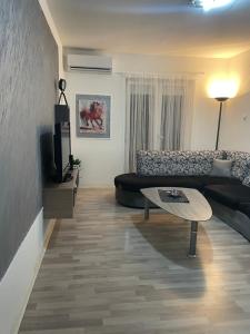 sala de estar con sofá y mesa de centro en Apartman Nadja, en Niš