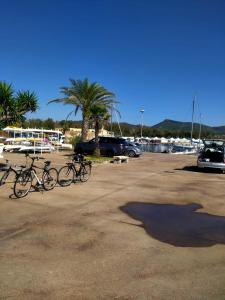 a group of bikes parked in a parking lot at Barca a Vela Principessa in Porto Carollo