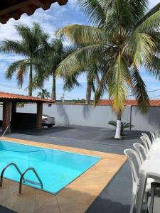 a swimming pool with chairs and a palm tree at Chácara Martins in Olímpia +24 photos