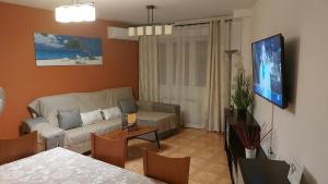 a living room with a couch and a tv at El Nido de Candeleda in Candeleda