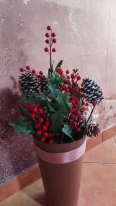 a plant with red berries in a brown pot at Kara Apartman in Odorheiu Secuiesc