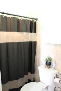 a bathroom with a black shower curtain and a toilet at City Dreams Cozy Loft in Guayama Great Location in Guayama