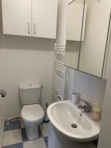 Cappelle-la-GrandeにあるStudio cosyのトイレと洗面台を備えた白いバスルーム
