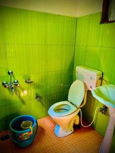 a green bathroom with a toilet and a sink at Al Hayat Guest House in Pahalgām