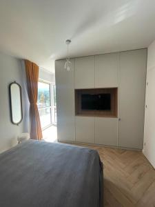 a bedroom with a bed and a tv and a fireplace at OHDA APARTMENT in Sinaia +21 photos