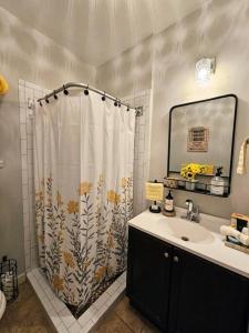 a bathroom with a shower curtain and a sink at Charming Two Story Country Style Loft with Balcony in Houston