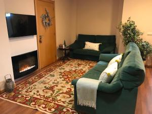 ヴィエイラ・ド・ミーニョにあるCasa do Pereiroのリビングルーム(緑のソファ、暖炉付)