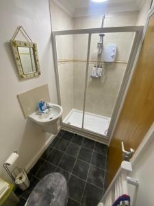 a bathroom with a shower and a toilet and a sink at The Nest at Wynncroft in Torquay