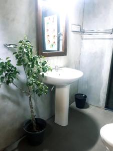 a bathroom with a sink and a potted plant at Leisure House Safari in Udawalawe