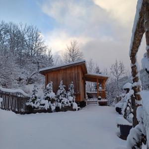 una cabaña en la nieve con árboles nevados en Tiny House am Steinergut en Radstadt