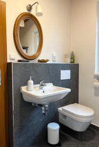 a bathroom with a sink and a toilet and a mirror at Fidler in Rozvadov